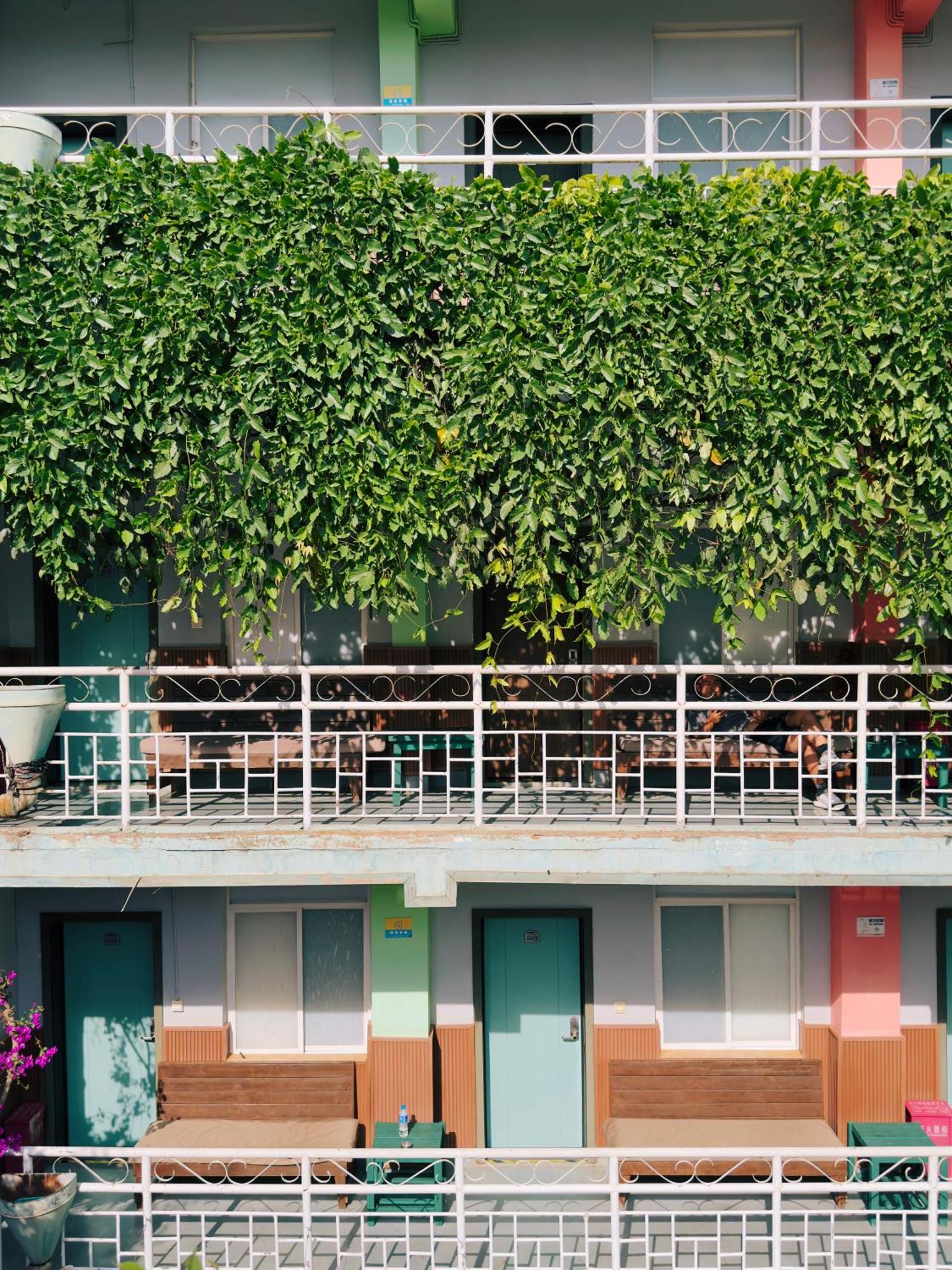 The Cloudland International Youth Hostel Close To The City Center,10 Min Walks To The Subway, Close To The Night Market, Old Street, Green Lake, English-Speaking Service, Free Activity Convenient Payment And Visa Cards Are Accepted Kunming Exteriör bild